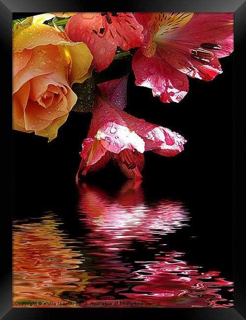 flowers with the reflections Framed Print by elvira ladocki