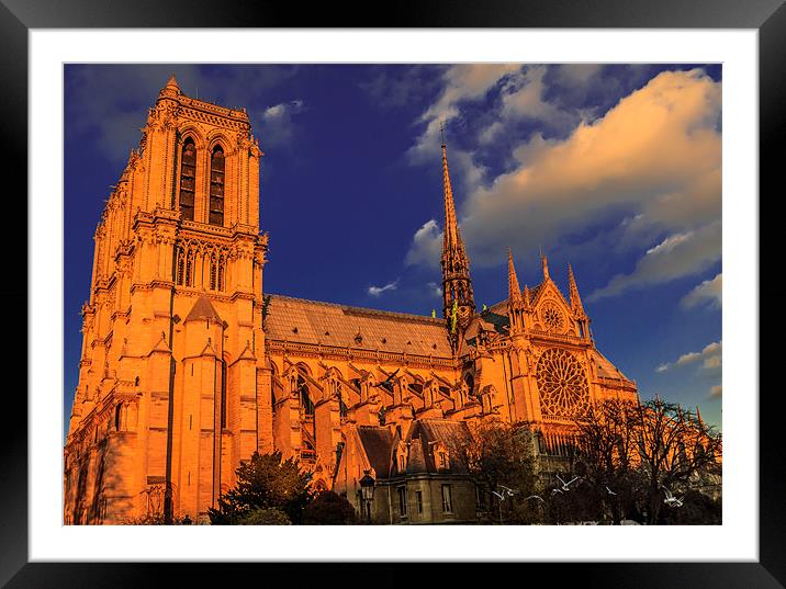 Golden Notre Dame Framed Mounted Print by Ray Shiu