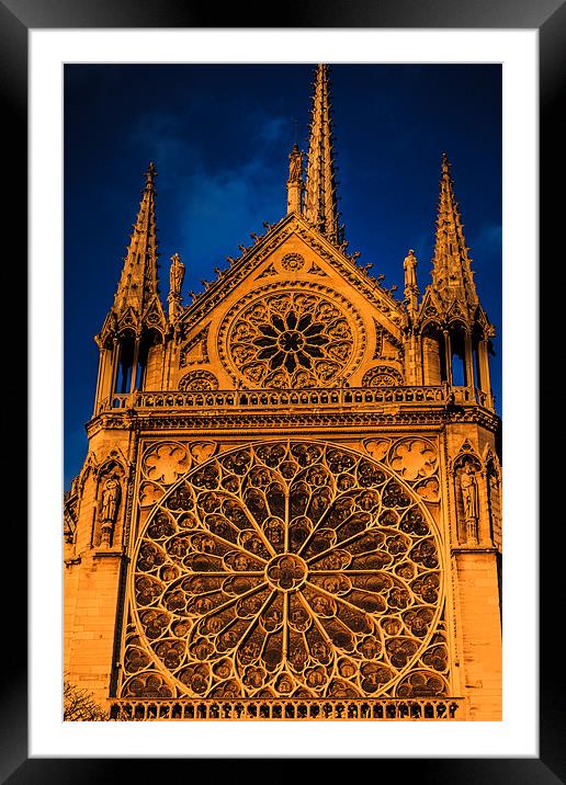 Notre Dame Motif Framed Mounted Print by Ray Shiu