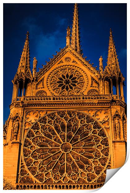 Notre Dame Motif Print by Ray Shiu
