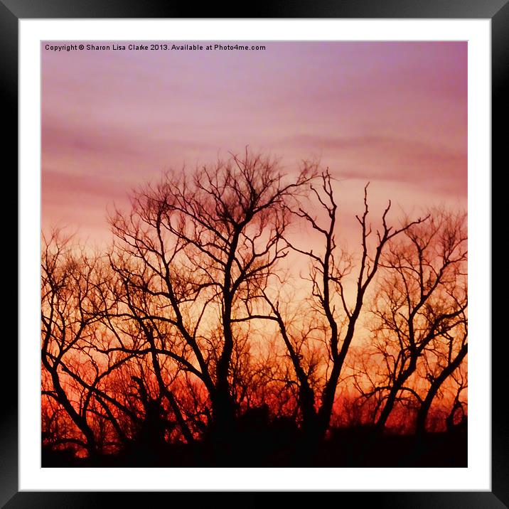 Crimson treetops 4 Framed Mounted Print by Sharon Lisa Clarke