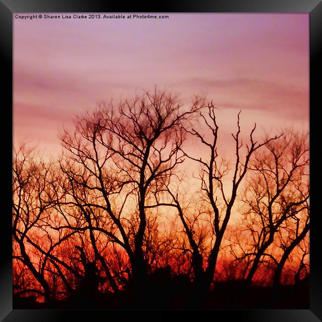 Crimson treetops 4 Framed Print by Sharon Lisa Clarke