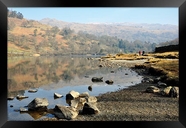 Rydalwater, Cumbria Framed Print by Donna Connolly