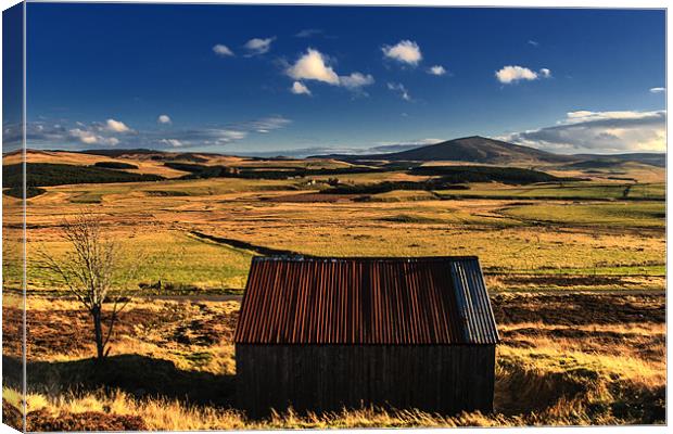 Shed with a View Canvas Print by Douglas McMann