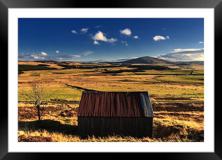 Shed with a View Framed Mounted Print by Douglas McMann