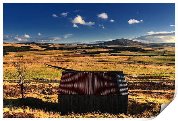 Shed with a View Print by Douglas McMann