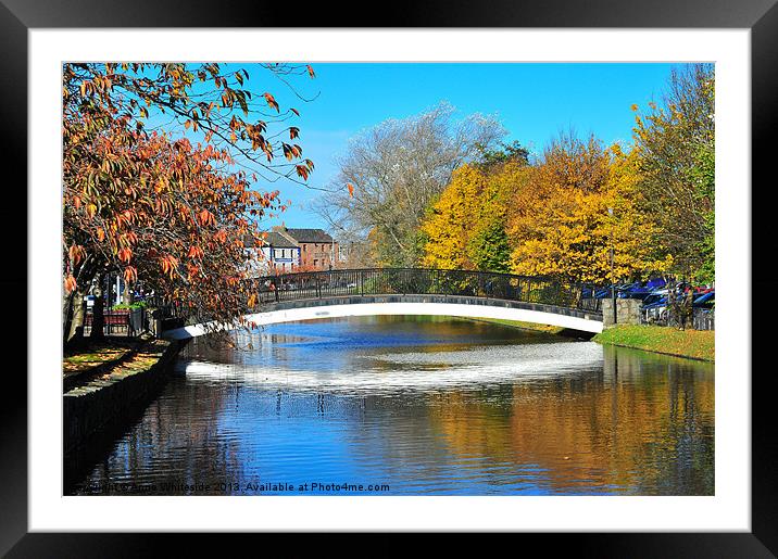 Newry Canal Framed Mounted Print by Anne Whiteside