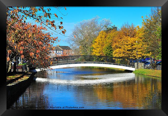 Newry Canal Framed Print by Anne Whiteside