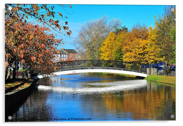 Newry Canal Acrylic by Anne Whiteside