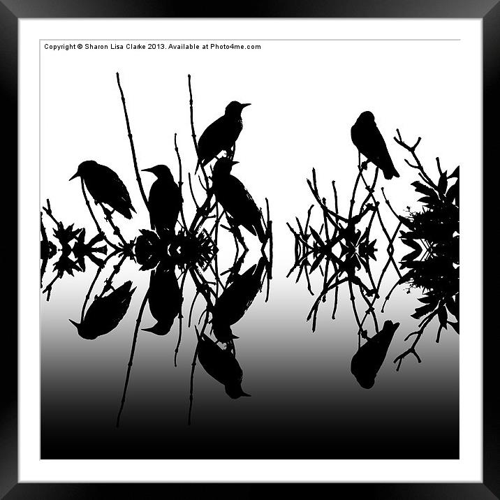 Black Birds Framed Mounted Print by Sharon Lisa Clarke