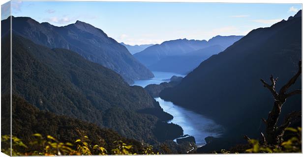 Doubtful Sound from Wilmott Pass Canvas Print by
