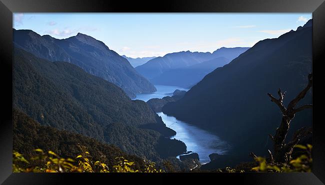 Doubtful Sound from Wilmott Pass Framed Print by