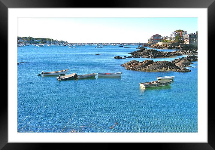 Marblehead Framed Mounted Print by David Davies