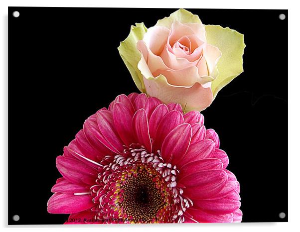 551-beautiful flowers Acrylic by elvira ladocki
