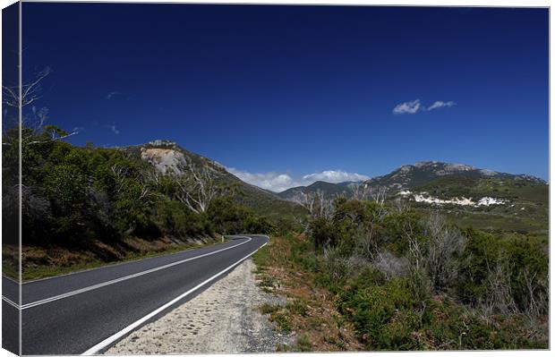 Road To Tidal River Canvas Print by Graham Palmer