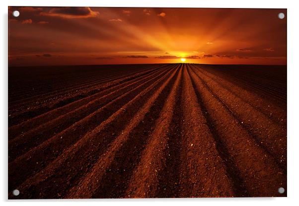 Ploughmans sunset Acrylic by Robert Fielding