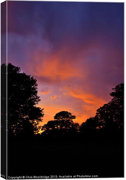 Sunset - Kearsney Canvas Print by Chris Wooldridge