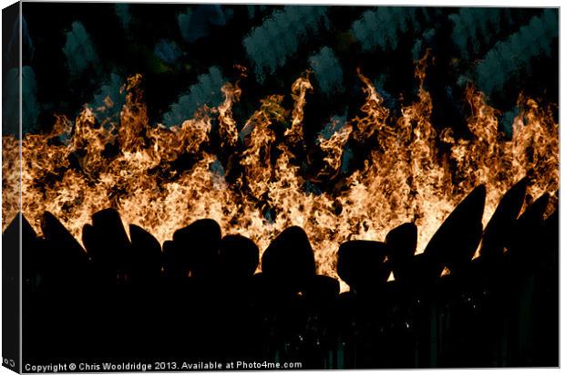 The Olympic Flame Canvas Print by Chris Wooldridge