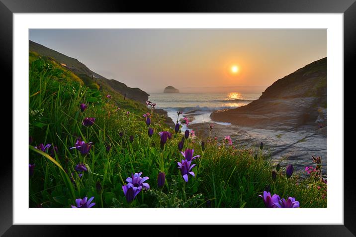 Cornwall: Flowers at the Strand Framed Mounted Print by Rob Parsons