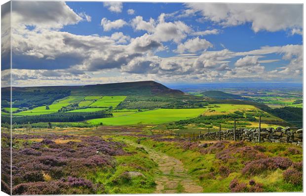 Yorkshire: Cringle Moor Canvas Print by Rob Parsons