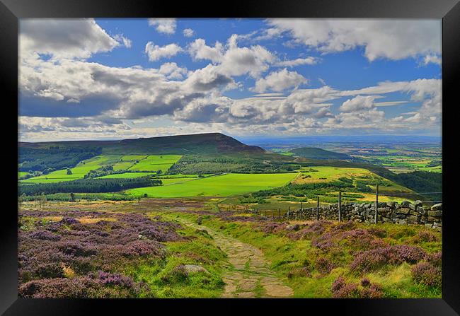 Yorkshire: Cringle Moor Framed Print by Rob Parsons