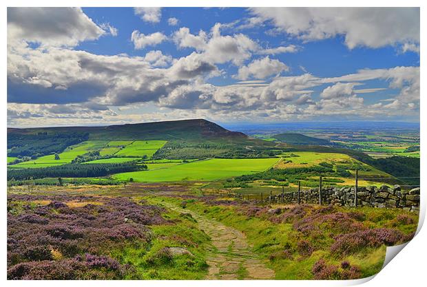 Yorkshire: Cringle Moor Print by Rob Parsons