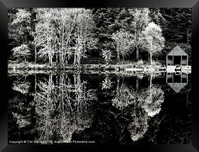 Glencoe Lochan Silver Trees Framed Print by Tim O'Brien