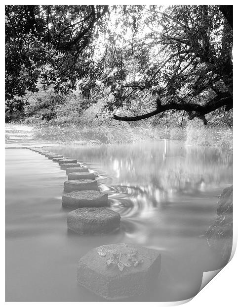 STEPPING STONE MIST Print by Clive Eariss