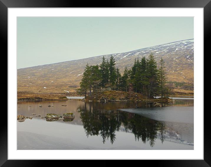 soft reflection Framed Mounted Print by dale rys (LP)