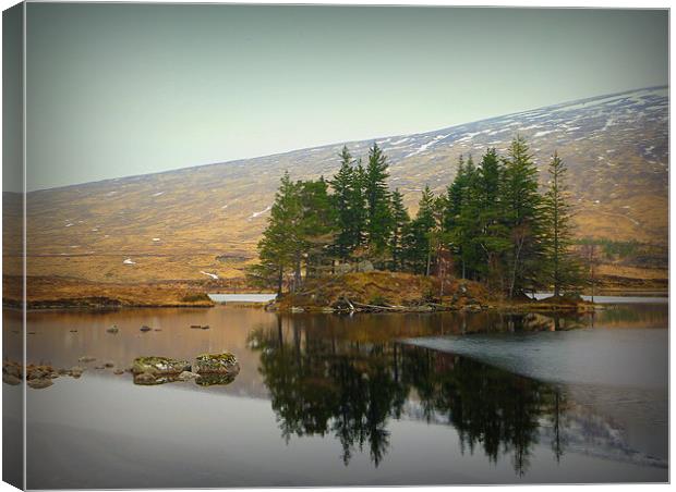 highland reflection Canvas Print by dale rys (LP)