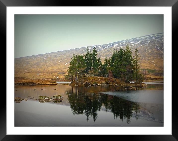 highland reflection Framed Mounted Print by dale rys (LP)