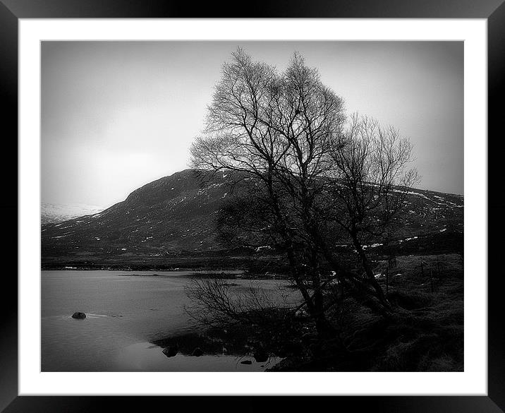 b&w highlands Framed Mounted Print by dale rys (LP)