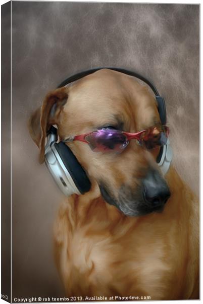 DJ POOCH Canvas Print by Rob Toombs