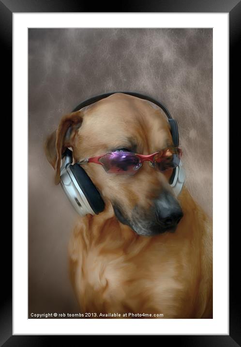 DJ POOCH Framed Mounted Print by Rob Toombs