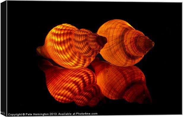 Illuminated Sea shells Canvas Print by Pete Hemington