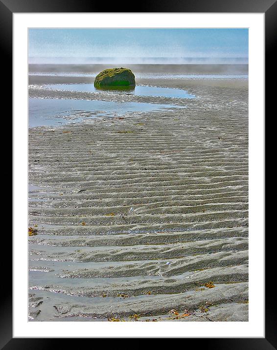 Lonely Rock Framed Mounted Print by David Davies