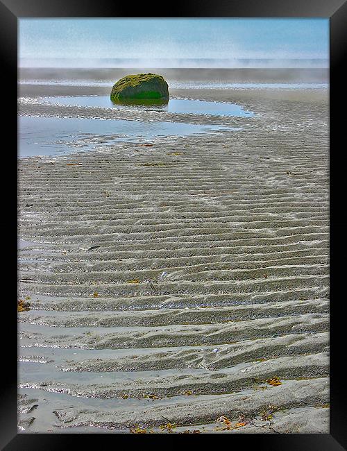 Lonely Rock Framed Print by David Davies