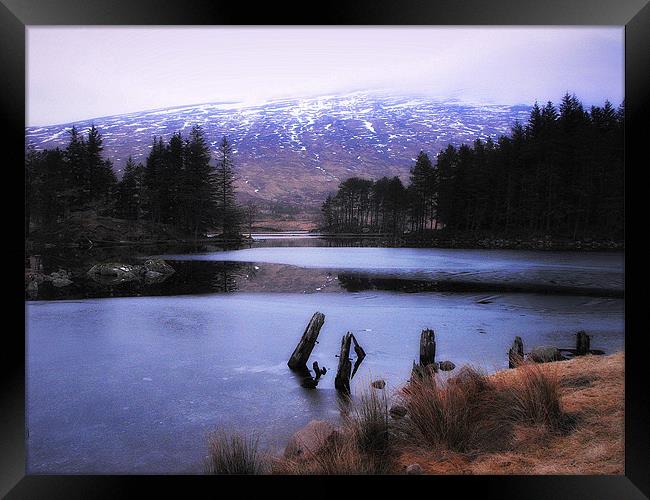 highland winter Framed Print by dale rys (LP)
