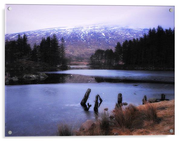highland winter Acrylic by dale rys (LP)