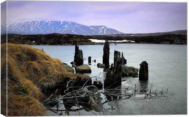 highland winter 2 Canvas Print by dale rys (LP)