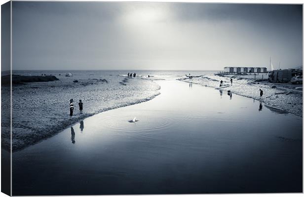 Charmouth Canvas Print by Dorit Fuhg