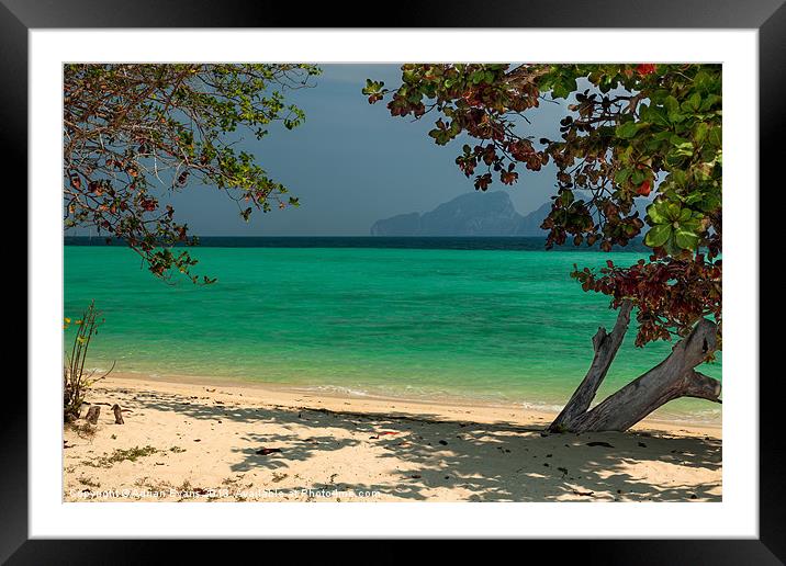 Tropical Island Framed Mounted Print by Adrian Evans