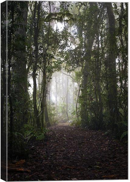 The Path to Enchantment Canvas Print by