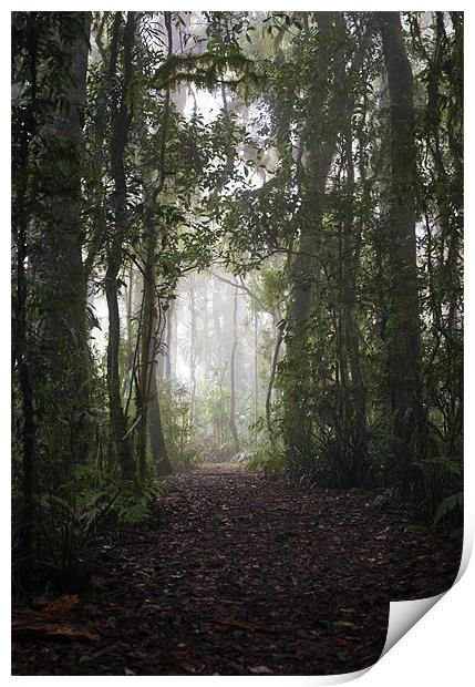 The Path to Enchantment Print by