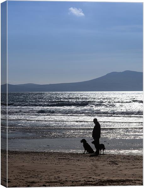 Dog Walkers Canvas Print by Gail Johnson