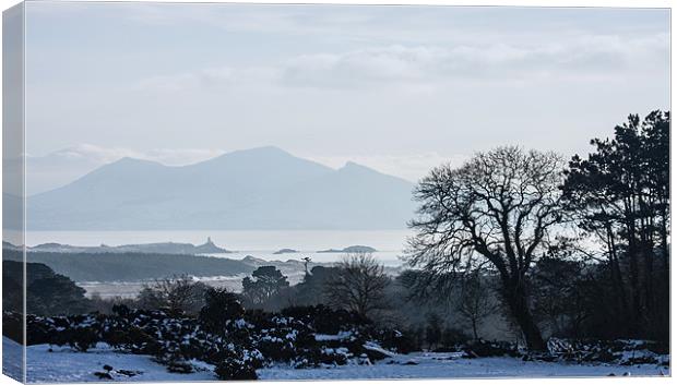 View to the mainland Canvas Print by Gail Johnson