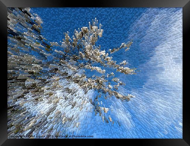 Bursting blossom Framed Print by Robert Gipson