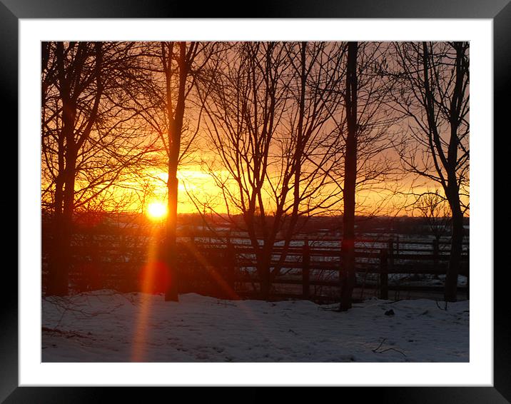 Sunset in the snow Framed Mounted Print by Rebecca Penhaligon