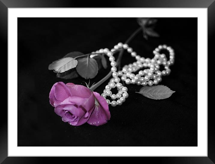 Petals and Pearls Framed Mounted Print by Stuart Jack