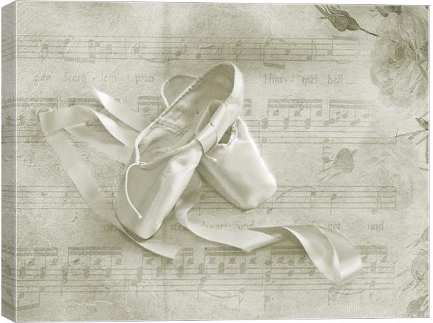 Ballet Shoes Canvas Print by Dawn Cox